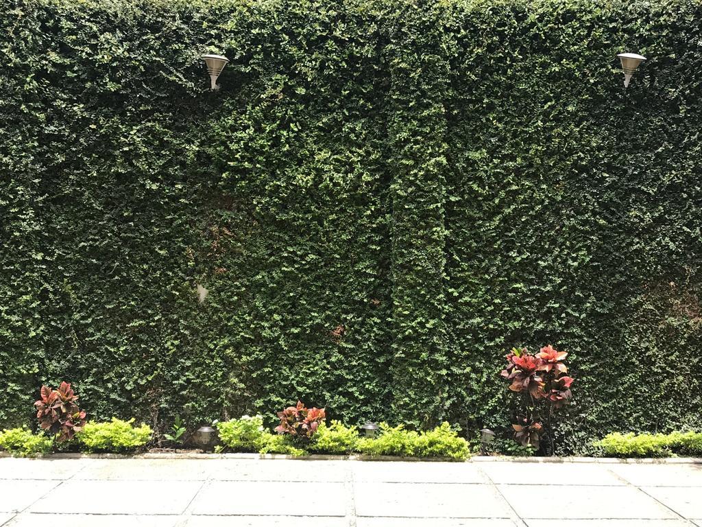Real Avenida Hotel Tuxtla Gutiérrez エクステリア 写真